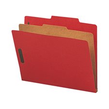 Classification Folders with Fasteners