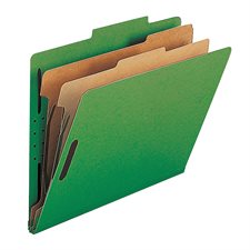 Classification Folders with Fasteners