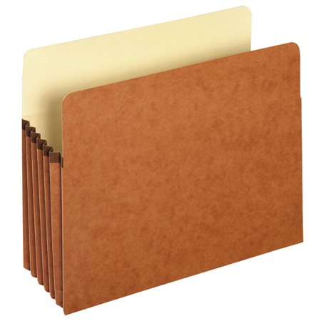 Expanding File Pocket