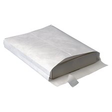 Tyvek® Expansion Envelope