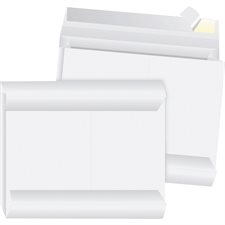 Tyvek® Expansion Envelope