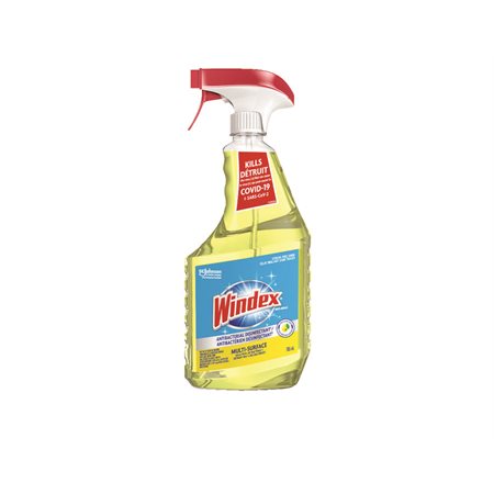 Nettoyant antibactérien désinfectant multi-surfaces Windex®