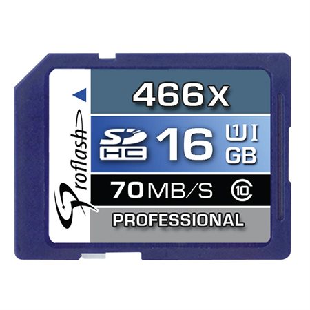 Secure Digital Memory Card