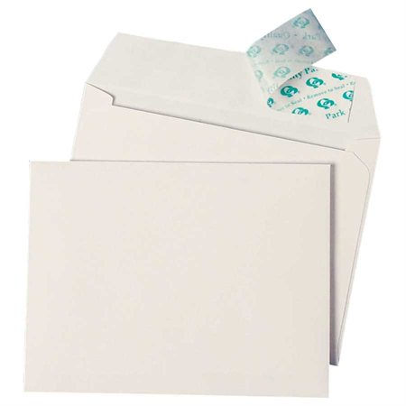 Redi-Strip™ Envelope