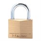 Solid Brass Padlock with Key