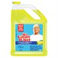 Mr. Clean® Multi-Surface Cleaner