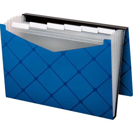 Pocket Expandable File