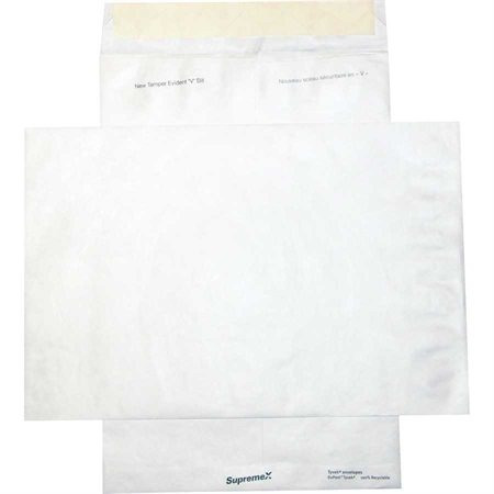 Tyvek Envelope