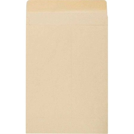 Kraft Expandable Envelope