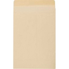 Kraft Expandable Envelope