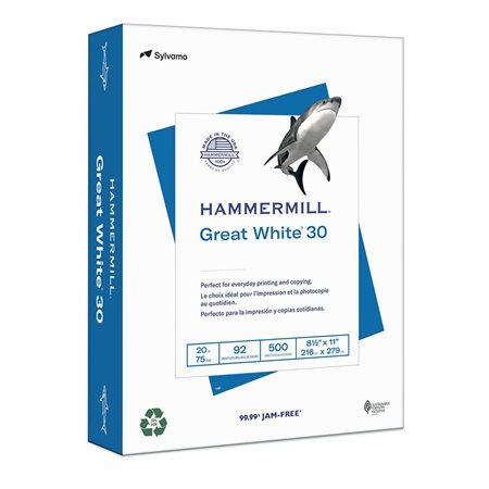 Great White® 30 Recycled Copy Paper