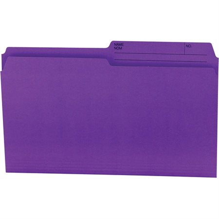 Reversible Coloured File Folders