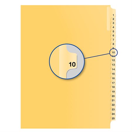 Individual Numerical Litigation Index Dividers