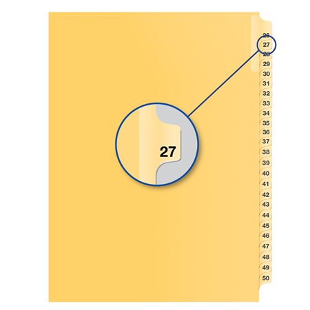 Individual Numerical Litigation Index Dividers