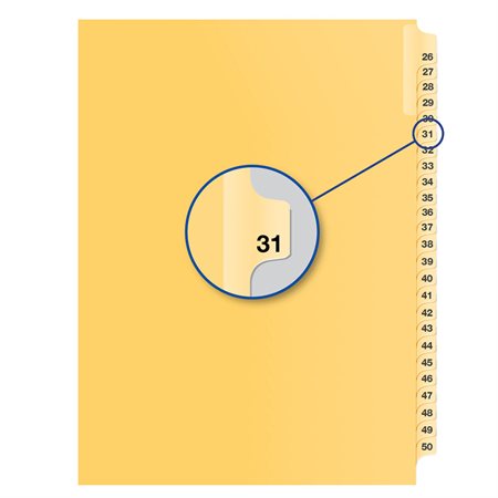 Individual Numerical Litigation Index Dividers