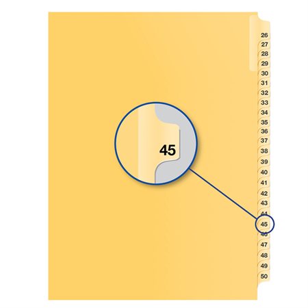 Individual Numerical Litigation Index Dividers