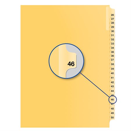 Individual Numerical Litigation Index Dividers