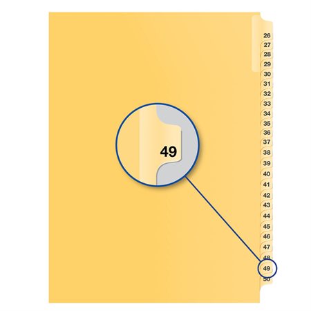 Individual Numerical Litigation Index Dividers