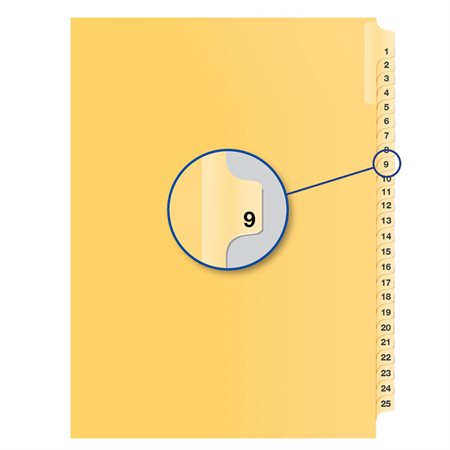 Individual Numerical Litigation Index Dividers