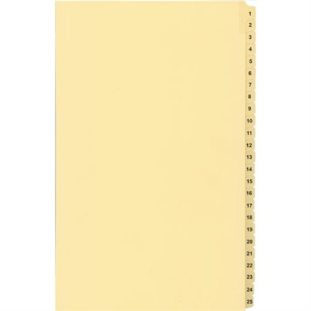 Numerical Litigation Index Dividers