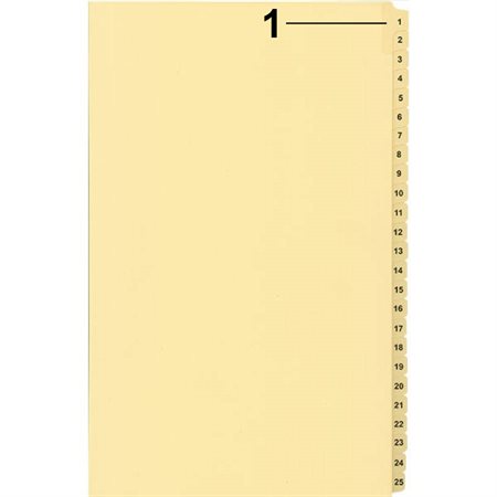 Offix® Numerical Litigation Index Dividers