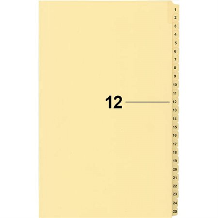 Offix® Numerical Litigation Index Dividers