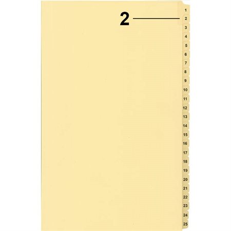 Offix® Numerical Litigation Index Dividers