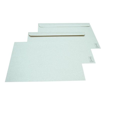 Kraft Envelope