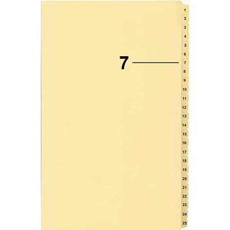 Offix® Numerical Litigation Index Dividers