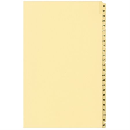 Numerical Litigation Index Dividers