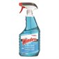 Windex® Original Glass Cleaner