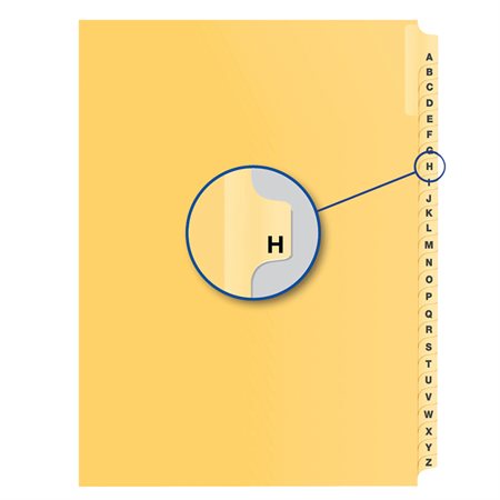 Alphabetical Litigation Index Dividers