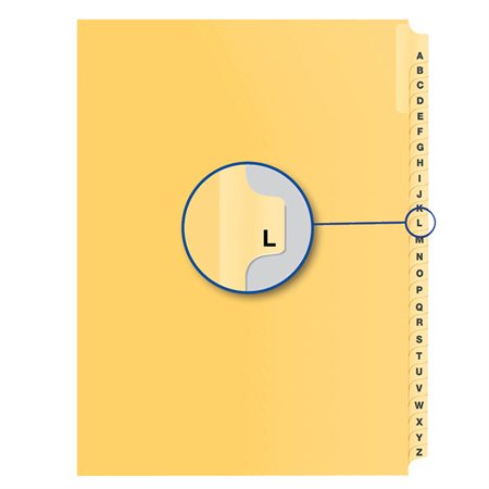 Alphabetical Litigation Index Dividers