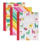 Pukka Pads Colored Composition Books